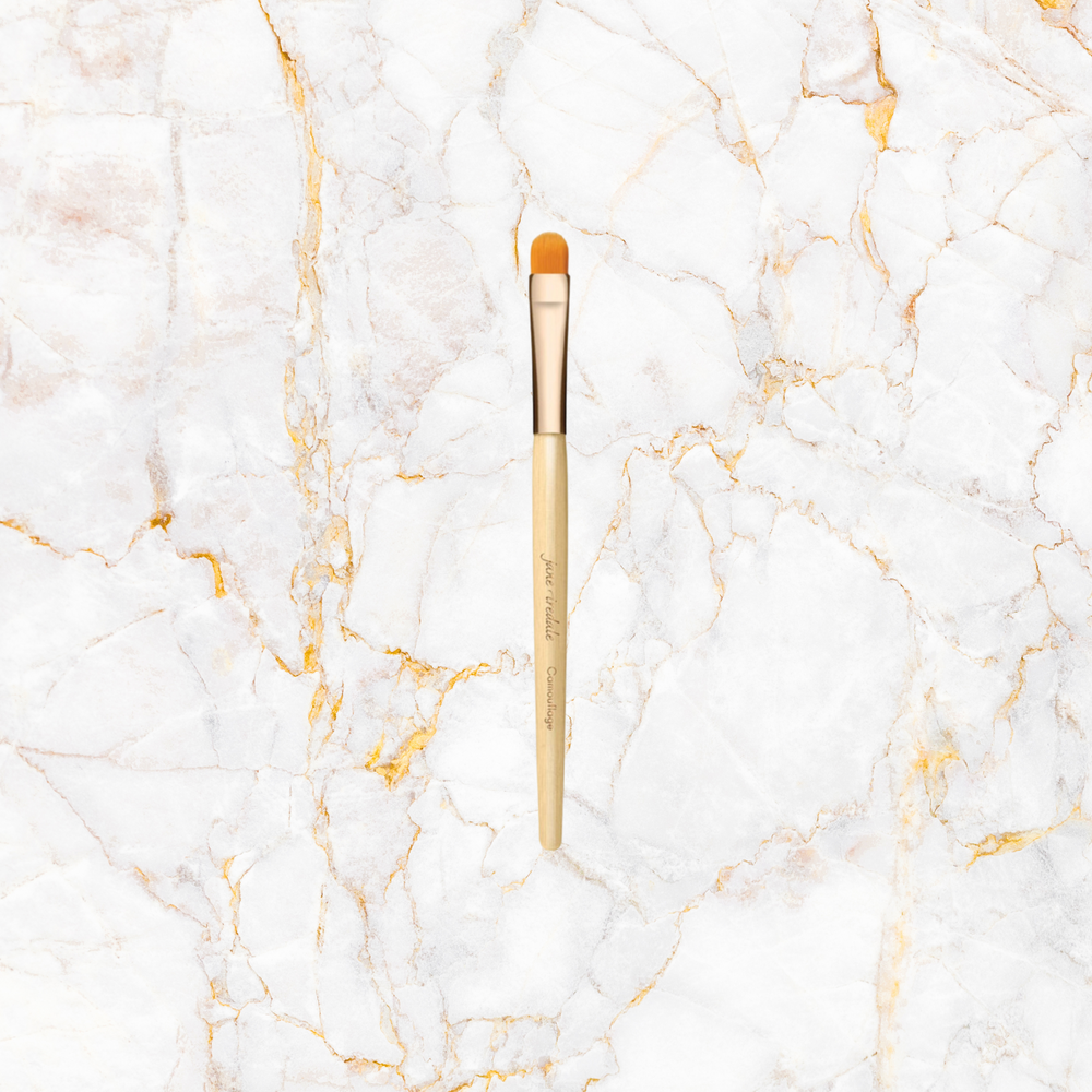 Jane Iredale Camouflage Brush make up