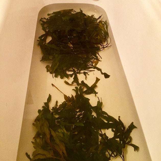 VOYA Lazy Days Detoxifying Seaweed Bath 400g VOYA
