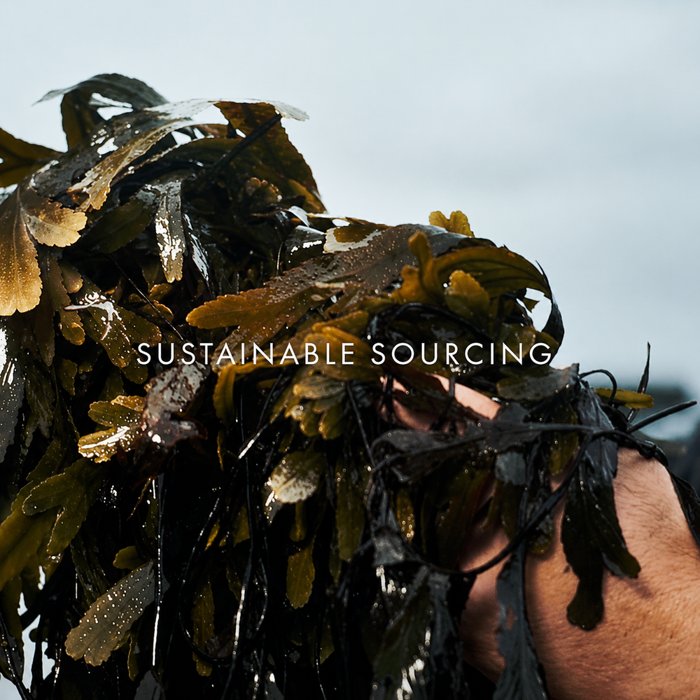 VOYA Sustainable Sourcing