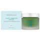 SkinCeuticals Phyto Corrective Masque 60ml