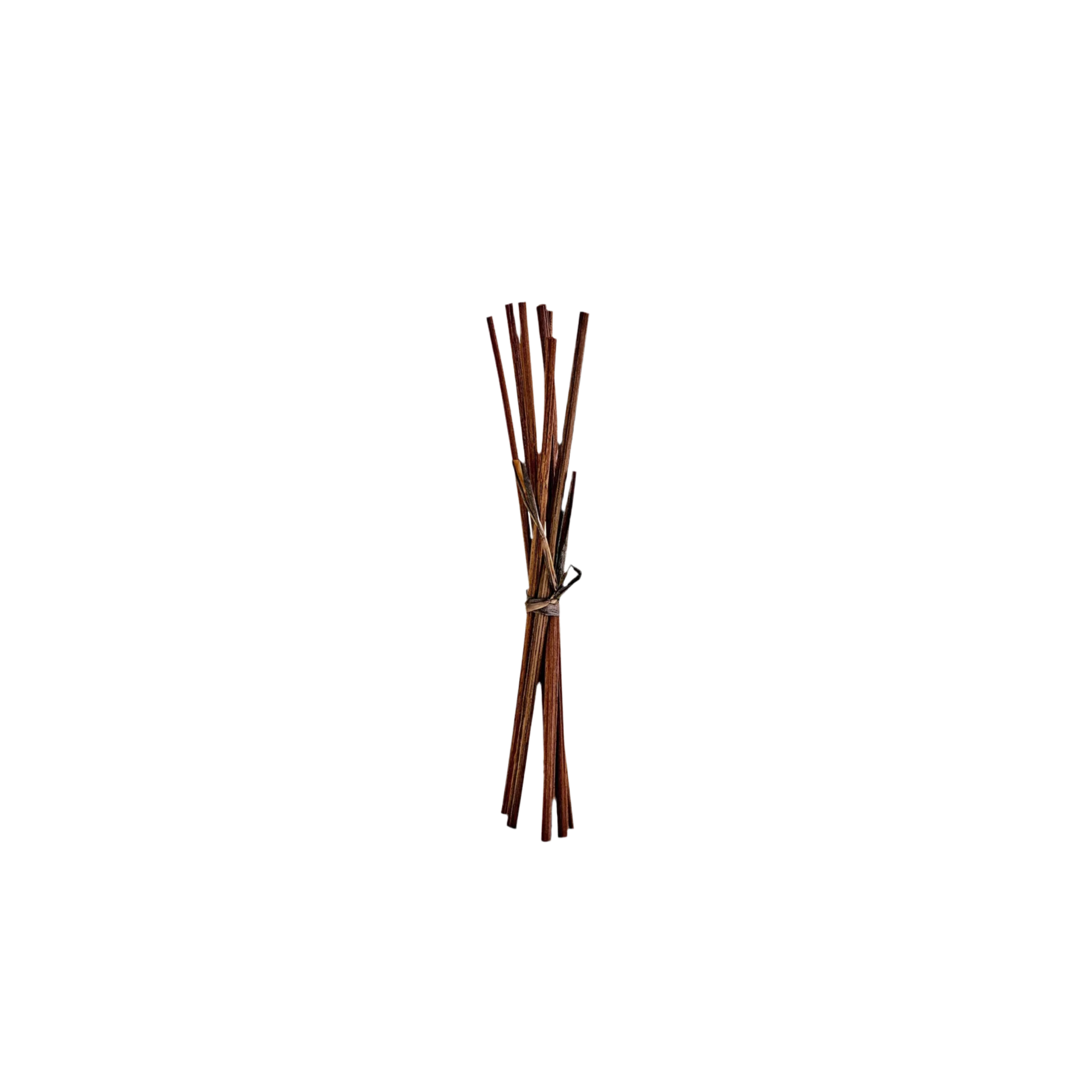 A bundle of brown VOYA reed sticks tied together for use in a reed diffuser.