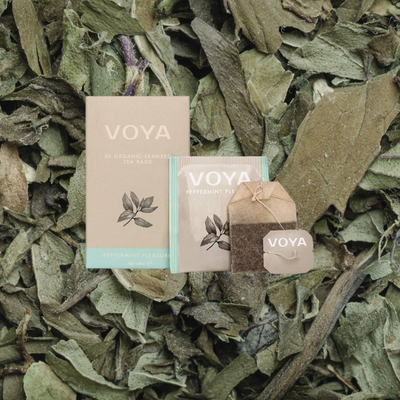 VOYA Peppermint Pleasure Organic Herbal Tea 20 bags