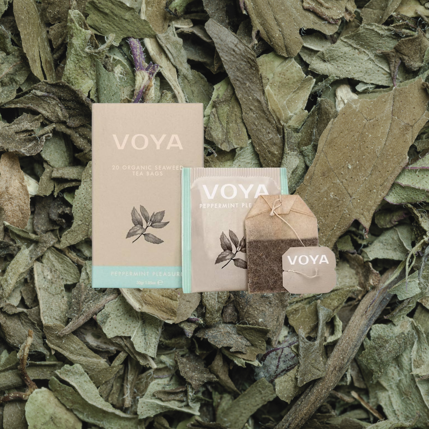 PLAISIR MENTHE POIVRÉE VOYA | INFUSION AUX PLANTES BIOLOGIQUES