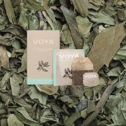 Voya Peppermint Pleasure Organic Herbal Tea