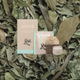 VOYA Peppermint Pleasure Organic Herbal Tea