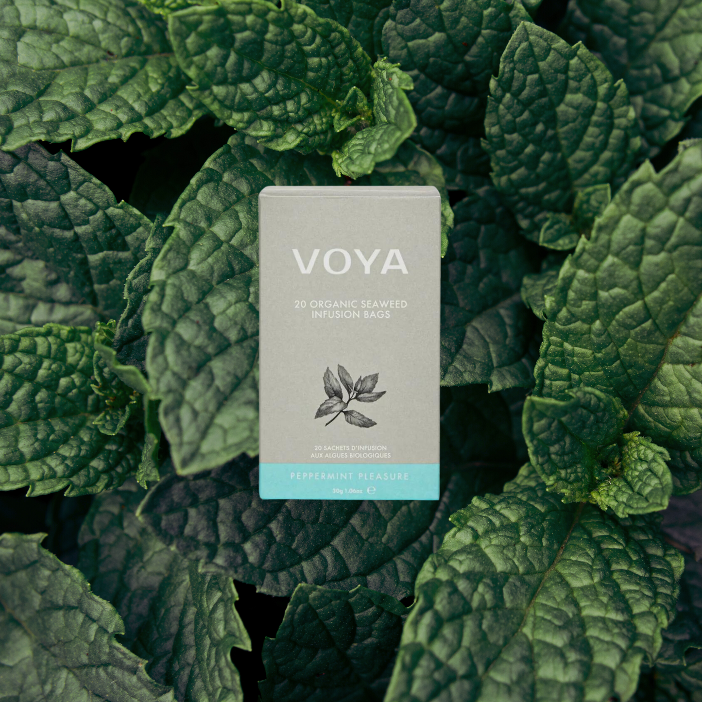 PLAISIR MENTHE POIVRÉE VOYA | INFUSION AUX PLANTES BIOLOGIQUES