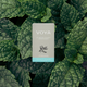 VOYA Peppermint Pleasure Organic Herbal Tea