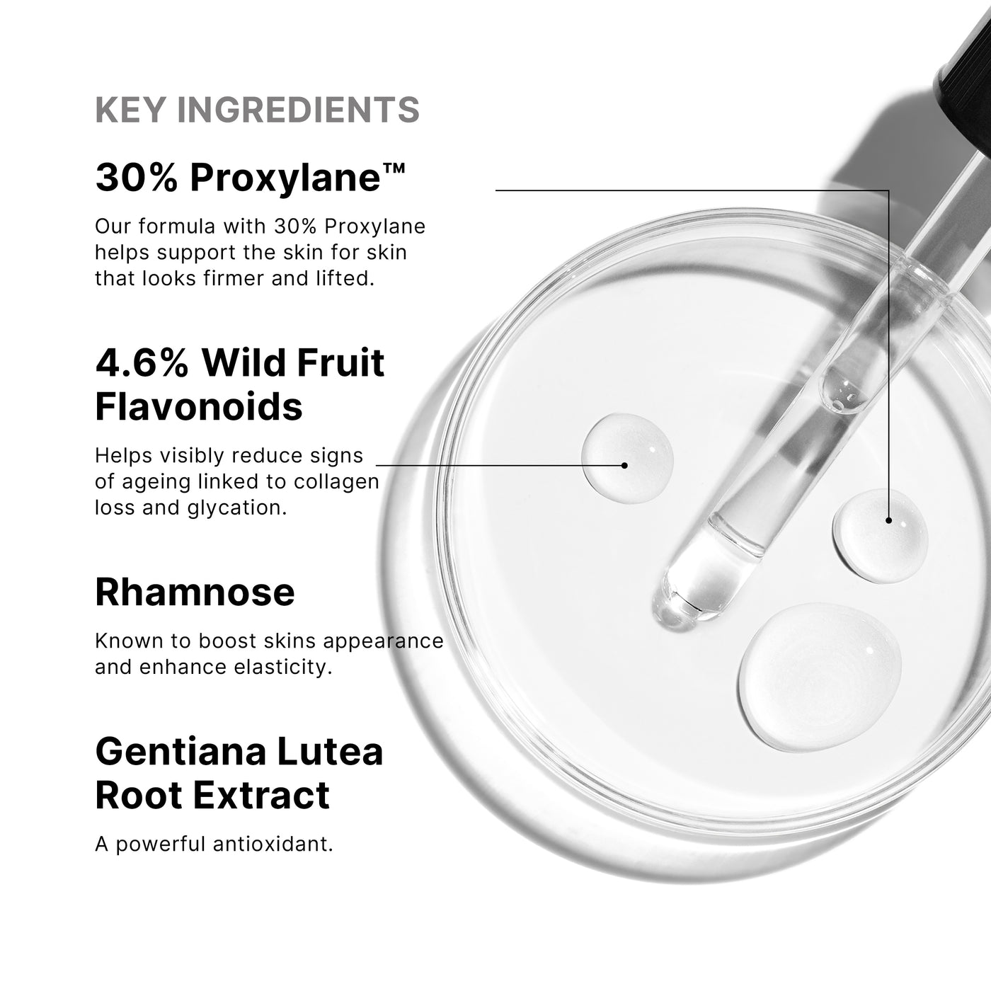{{Product vendor}} {{Product title}}  Serum