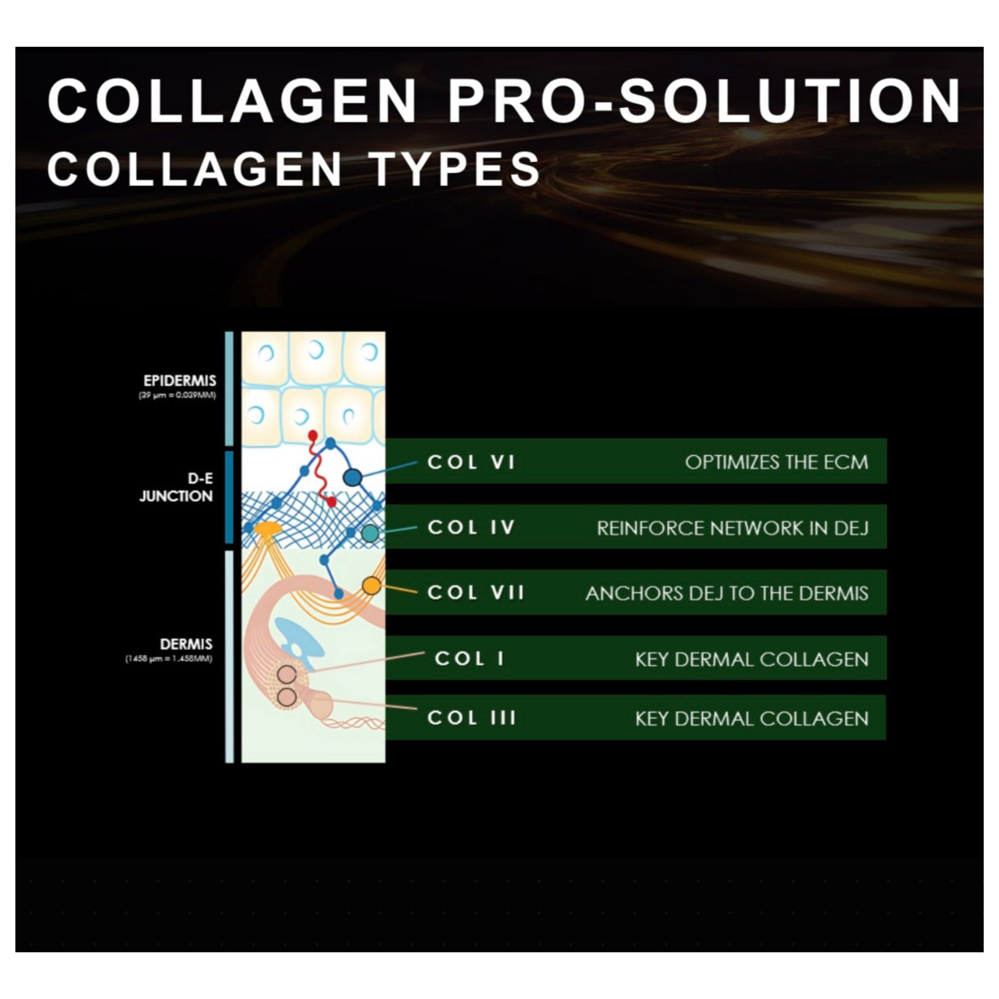 4ml_Sample_of_SkinCeuticals_Cell_Cycle_Catalyst