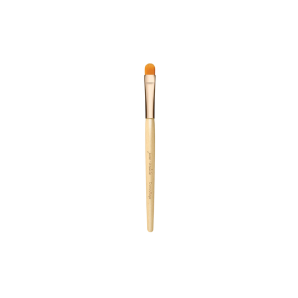 Jane Iredale Camouflage Brush