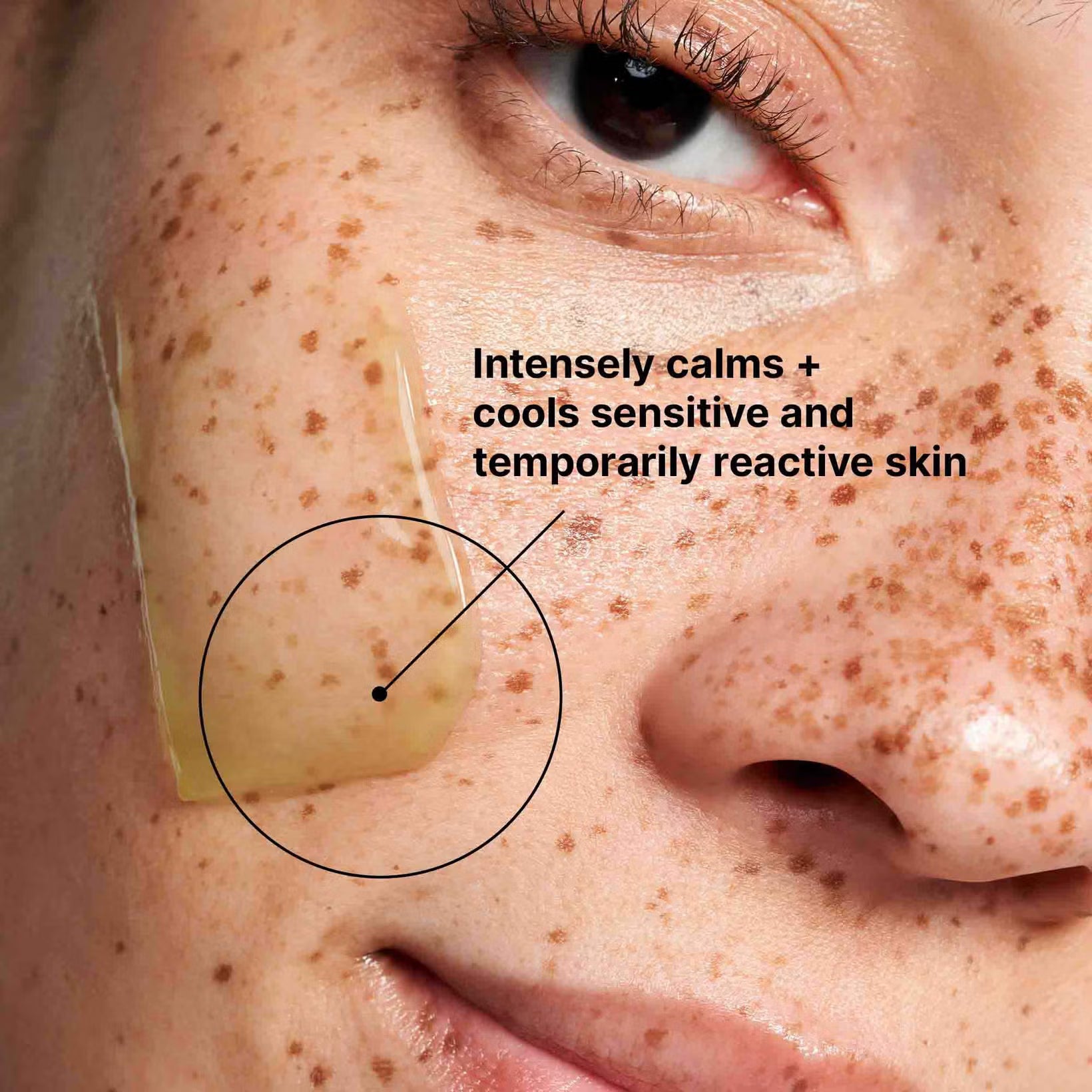 SkinCeuticals Phyto Corrective Masque 60ml