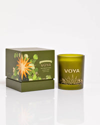 VOYA The Land of Light Christmas candle green glass