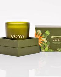 VOYA The Land of Light Christmas candle  and packaging on a white background