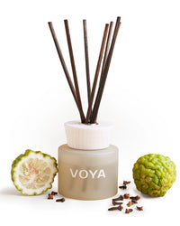 VOYA Oh So Scented Reed Diffuser African Lime & Clove 100ml