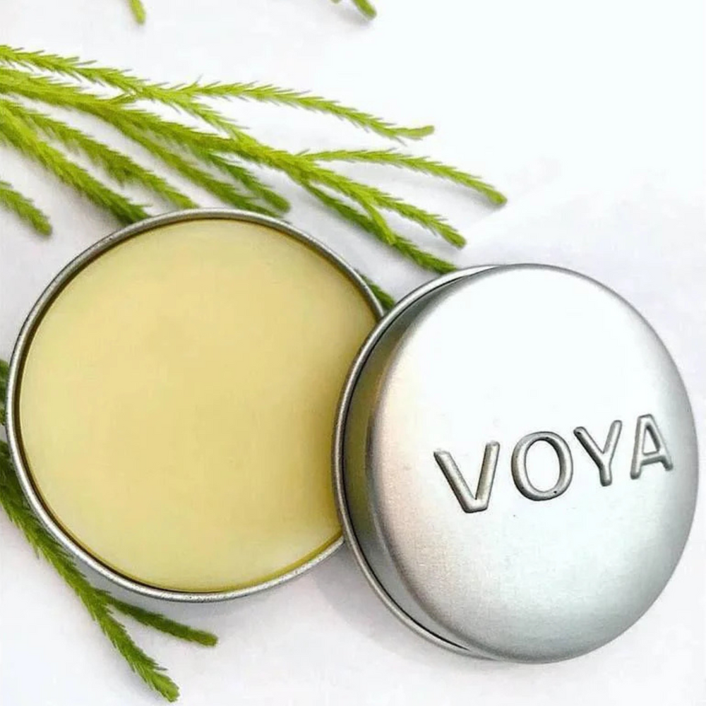 Voya lemon and lime Balmelicious lip balm container with green leaves on a white background