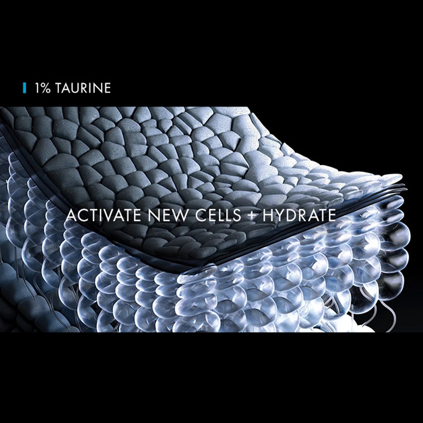 SkinCeuticals Cell Cycle Catalyst Serum 30ml