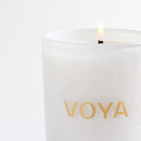 {{Product vendor}} {{Product title}}  Candles & Reeds
