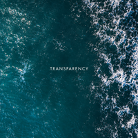 VOYA Transparency