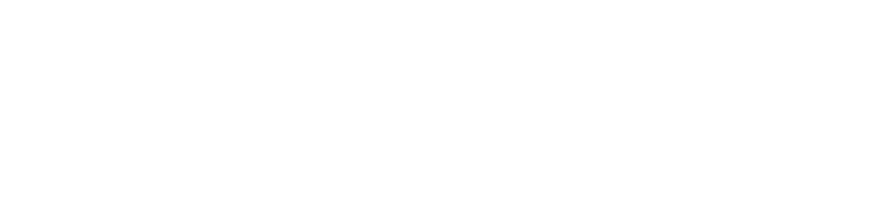 TheSkinBay BayPoints